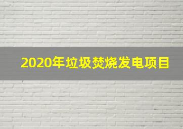 2020年垃圾焚烧发电项目