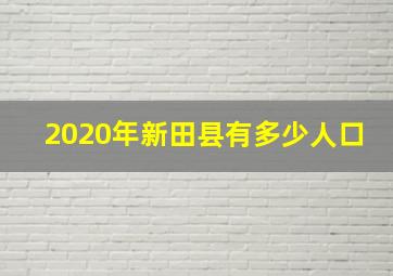 2020年新田县有多少人口