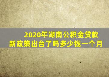 2020年湖南公积金贷款新政策出台了吗多少钱一个月