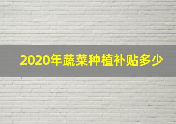 2020年蔬菜种植补贴多少