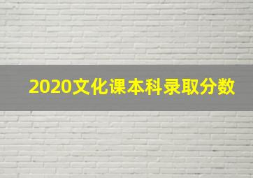 2020文化课本科录取分数