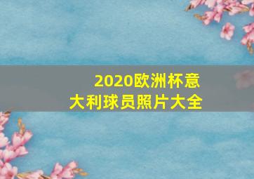 2020欧洲杯意大利球员照片大全