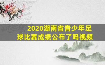 2020湖南省青少年足球比赛成绩公布了吗视频