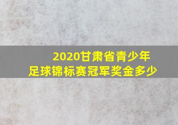 2020甘肃省青少年足球锦标赛冠军奖金多少