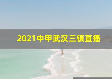 2021中甲武汉三镇直播