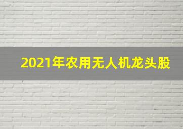 2021年农用无人机龙头股