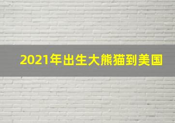 2021年出生大熊猫到美国