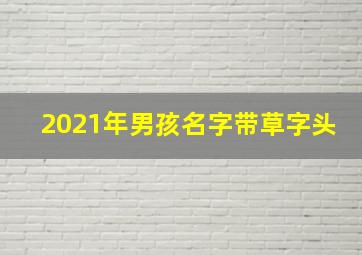 2021年男孩名字带草字头