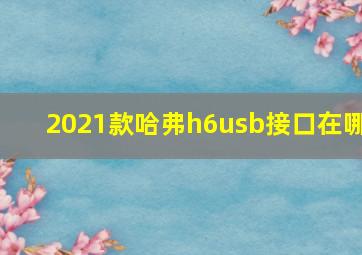 2021款哈弗h6usb接口在哪