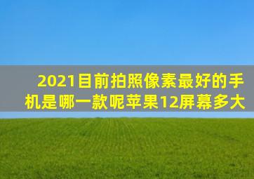 2021目前拍照像素最好的手机是哪一款呢苹果12屏幕多大