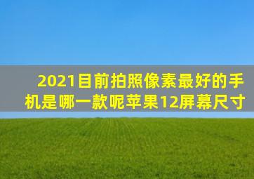 2021目前拍照像素最好的手机是哪一款呢苹果12屏幕尺寸