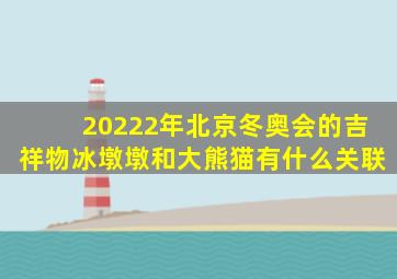 20222年北京冬奥会的吉祥物冰墩墩和大熊猫有什么关联