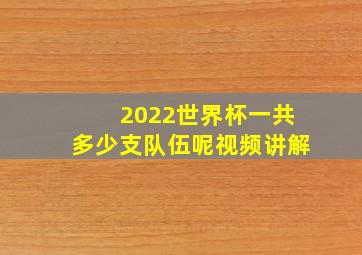 2022世界杯一共多少支队伍呢视频讲解