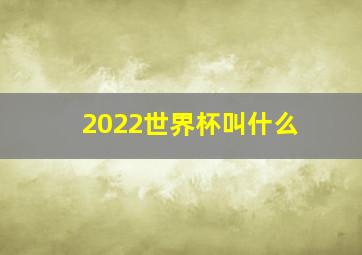 2022世界杯叫什么