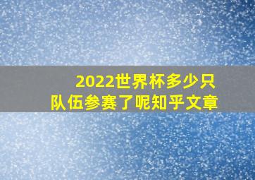 2022世界杯多少只队伍参赛了呢知乎文章