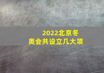 2022北京冬奥会共设立几大项