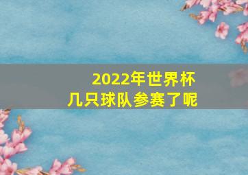 2022年世界杯几只球队参赛了呢