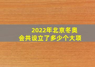 2022年北京冬奥会共设立了多少个大项