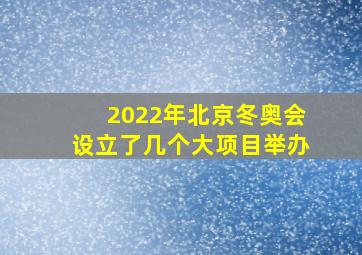 2022年北京冬奥会设立了几个大项目举办