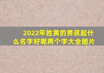 2022年姓黄的男孩起什么名字好呢两个字大全图片