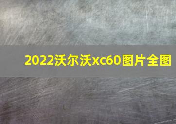 2022沃尔沃xc60图片全图