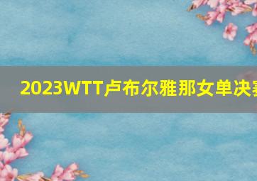 2023WTT卢布尔雅那女单决赛