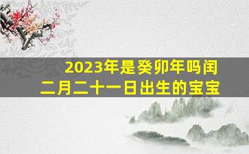 2023年是癸卯年吗闰二月二十一日出生的宝宝