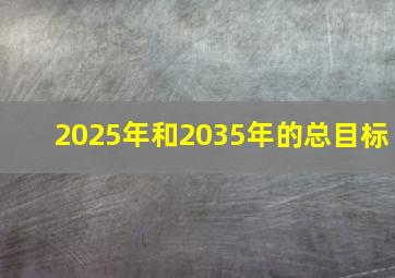 2025年和2035年的总目标