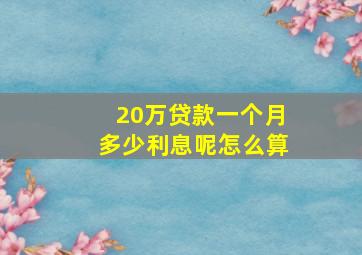 20万贷款一个月多少利息呢怎么算