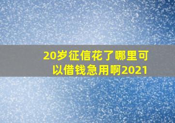 20岁征信花了哪里可以借钱急用啊2021