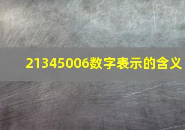 21345006数字表示的含义