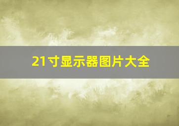 21寸显示器图片大全