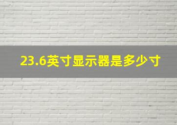 23.6英寸显示器是多少寸