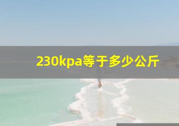 230kpa等于多少公斤