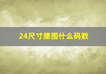 24尺寸腰围什么码数