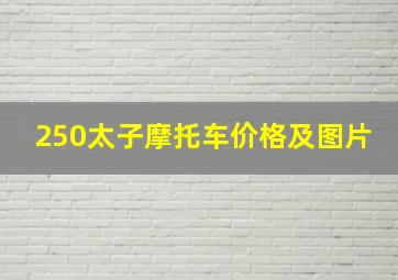 250太子摩托车价格及图片