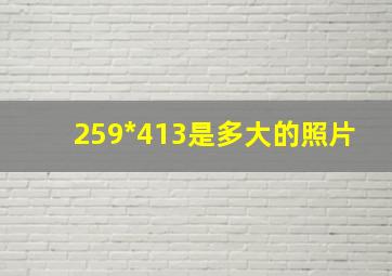 259*413是多大的照片