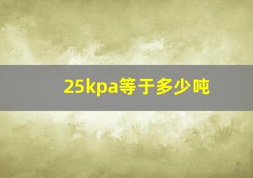 25kpa等于多少吨