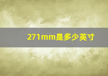 271mm是多少英寸