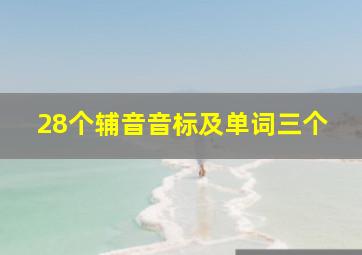 28个辅音音标及单词三个