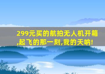 299元买的航拍无人机开箱,起飞的那一刻,我的天呐!