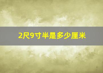 2尺9寸半是多少厘米