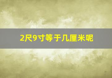 2尺9寸等于几厘米呢