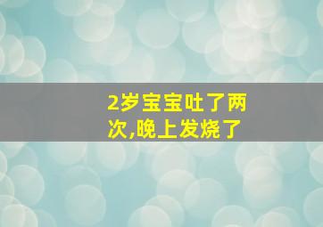 2岁宝宝吐了两次,晚上发烧了