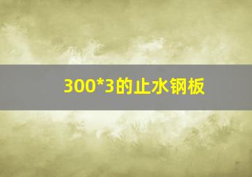 300*3的止水钢板