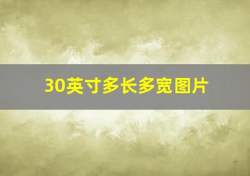 30英寸多长多宽图片