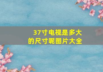 37寸电视是多大的尺寸呢图片大全