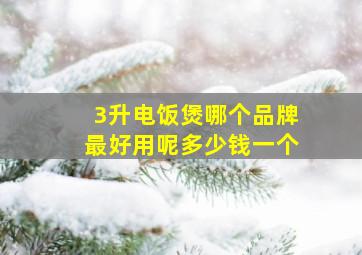 3升电饭煲哪个品牌最好用呢多少钱一个