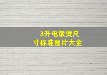 3升电饭煲尺寸标准图片大全