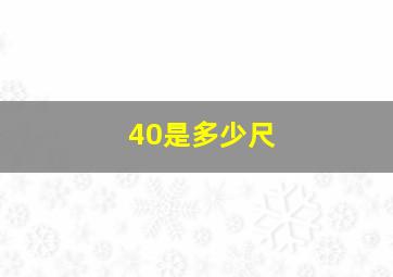 40是多少尺